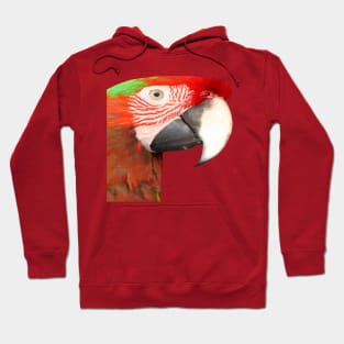 A Beautiful Bird Harlequin Macaw Portrait Vector Hoodie